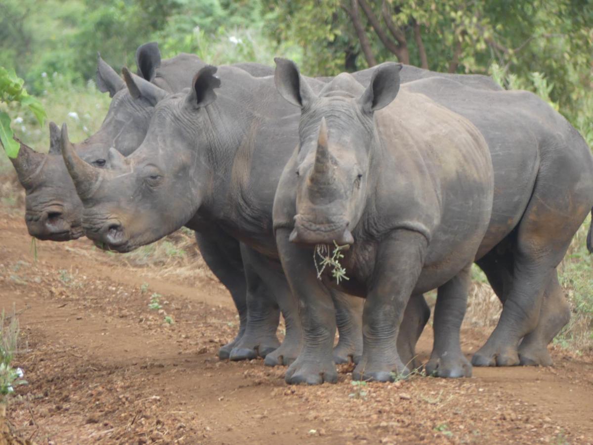 Ikweta Safari Camp Hotel Maua ภายนอก รูปภาพ