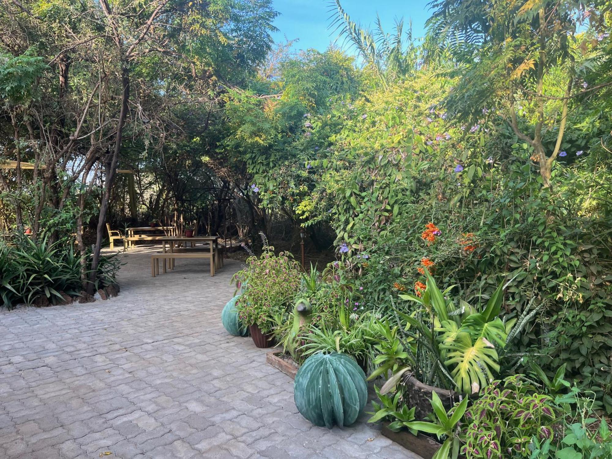 Ikweta Safari Camp Hotel Maua ภายนอก รูปภาพ