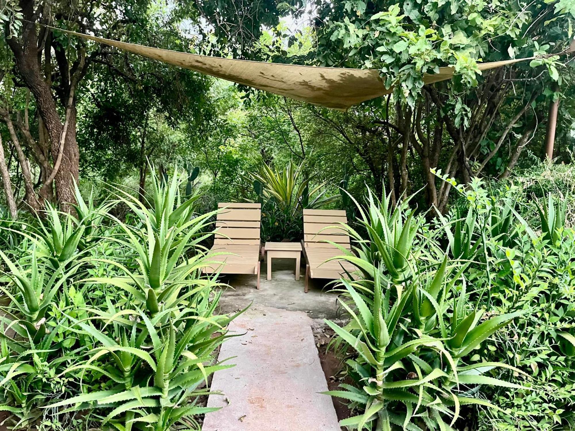 Ikweta Safari Camp Hotel Maua ภายนอก รูปภาพ