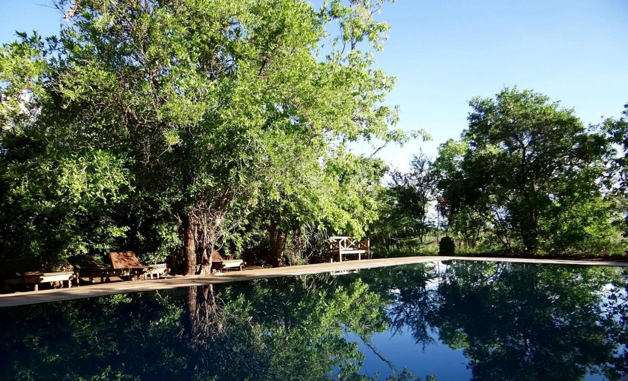 Ikweta Safari Camp Hotel Maua ภายนอก รูปภาพ